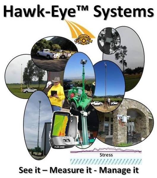 Hawk-Eye_Prices